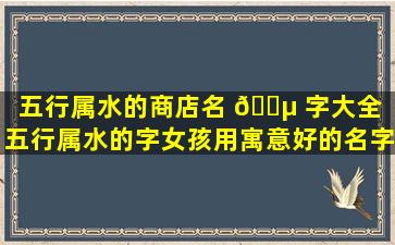 五行属水的商店名 🐵 字大全（五行属水的字女孩用寓意好的名字）